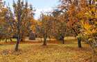 Teren superb in Breaza Plaiul Talii 9289Mp , ideal pt cabana din barne