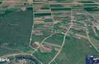 Teren intravilan, 4700 mp, dublu front stradal, la marginea Padurii Co - 8