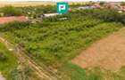 Teren 2400 mp - Tisa Noua, com. Fantanele - 3