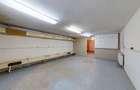 Spațiu comercial, de 440 mp, în Jiului - 9