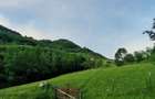 De vanzare teren 6500 m2 in sat Magura jud brasov la principala - 2