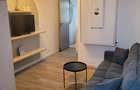 Apartament 1 camera +mezanin Intre Lacuri Ideal Investi?ie-direct proprietar - 8