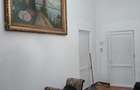 Casa individuala, 4 camere, zona Stadion Ilie Oana - 12
