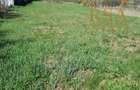 Teren intravilan 2652 mp Golesti Vatasesti, Valcea, zona linistita - 2