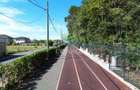 Teren - Voluntari - vis a vis de Padure - 10.000 mp
