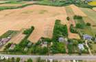 Casa gospodareasca cu teren generos 1,1 Ha in Silistea, Com. Todiresti - 5