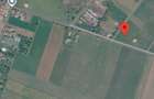 Teren intravilan de vanzare Pancota, jud. Arad - 1