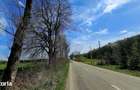 Teren 10,000mp Nemtisor / DJ 155C - 19