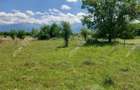 Teren intravilan 5000 mp pe Valea Avrigului, Sibiu