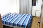 Apartament 2 camere/ Pta Lahovari+ metrou - 6