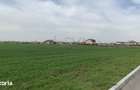 Teren intravilan Magurele 16573 mp - 15 EUR mp - Dubla deschidere - la