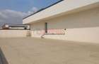 Penthouse 3 camere cu terasa 280 mp | Exclusivitate la inaltime - 7