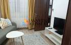 Inchiriere casa 2 camere sector 5 - 3