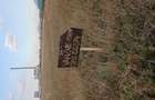 Teren intravilan, Brasov ,zona Craiter, proprietar , 1500 mp, 39 euro mp - 4