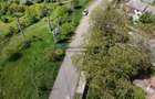 Teren 9000 mp intravilan Piatra Neamt , ideal investitie - 5