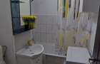Apartament cu o camera de inchiriat in zona Nufarul - 14