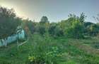 Casa la ?ara cu livada, gradina ?i aer curat - Vulturesti, Arge? - 2