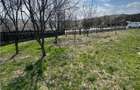 Teren Parcelabil I 11400 MP I Corpadea - 12