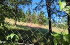 Teren intravilan 1825 mp de vanzare in Valea Doftanei