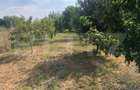 Teren intravilan, 2900 mp, zona Caprioarei