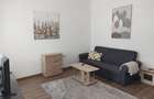 Apartament 1 camera, bucatarie, baie si hol, mobilat, utilat si cu gradina - 2