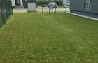 Vila 4 Camere P+1De Vanzare | Individuala  Complex Rezidential | Curte - 4