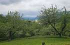 Domeniu Premium 1.7 Ha Intravilan Zarnesti | Liziera Padure - 10