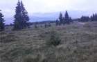 Teren in zona Belisului ptr. Cabana, pensiune, etc. la 5 km de lac si partia de schi Maris el - 3