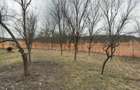 Vand 1064 mp teren intravilan Barlea judetul Cluj - 6