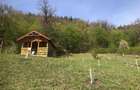 Teren intravilan + foisor de vanzare in zona Lacului Cuejdel - 3