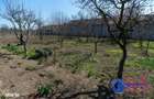ID 6675 EXCLUSIVITATE - Teren cu casa in Sat Lunca- DELTA DUNARII - 15