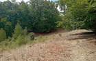 Teren de 3500 mp, în Valea Babei - 3