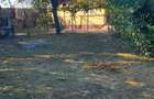 Casa 59 mp | 2 camere | baie | bucatarie | teren 1050 mp | Negoiesti-Brazi