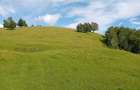 Vand teren Tarsa, Bosorod - 2