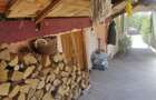 Puieni, judetul Giurgiu - 3