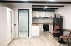 Apartament cu 3 camere de inchiriat Ultracentral, Oradea - 13