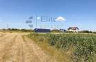 Teren intravilan 1114 mp Sanmartin - 4