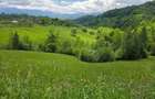 vanzare teren intravilan Sat Magura, Comuna Moieciu, Jud Brasov