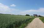 Teren apropiere lac Balotesti, 21500 eur - 6