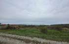 Teren intravilan industrial 5000 mp - 1