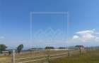 Teren intravilan - 1530 mp, PUZ - Paltinis, Sibiu - 1