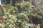 Apartament in chirie - 7
