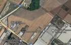 5000mp sau 27000mp,45m deschid,centura Bucuresti, Depozit... - 3