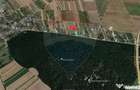 Teren intravilan, langa padure, 752 mp, Bolintin-Deal - Bolintin Deal (Giurgiu) - 4