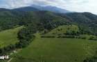 RASNOV BRASOV TEREN EXTRAVILAN 11,000 MP - CHEILE RASNOAVEI - 3