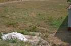 Vanzare teren intravilan si extravilan - 10