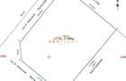 Teren intravilan 430 mp | Direct la asfalt | Str. Codrului, Berceni - 3