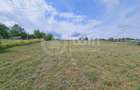 Teren de 1.113 mp | 135 euro/mp | Dambul Rotund | Zona str. Rubinului - 1