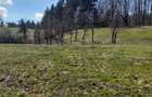 Coliba plus 2 hectare de pamant - 8