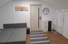 Ofer spre inchiriere apartament 2 camere zona Marasesti - 5